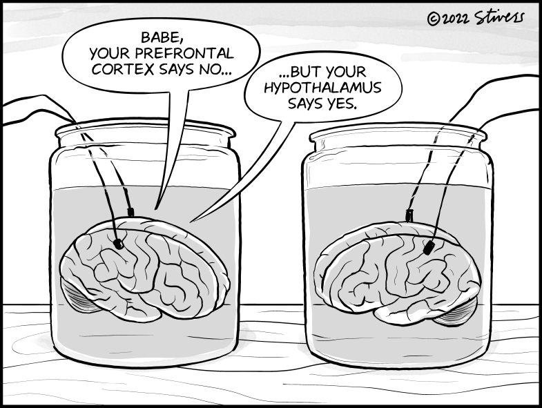 Your prefrontal cortex says no, but…